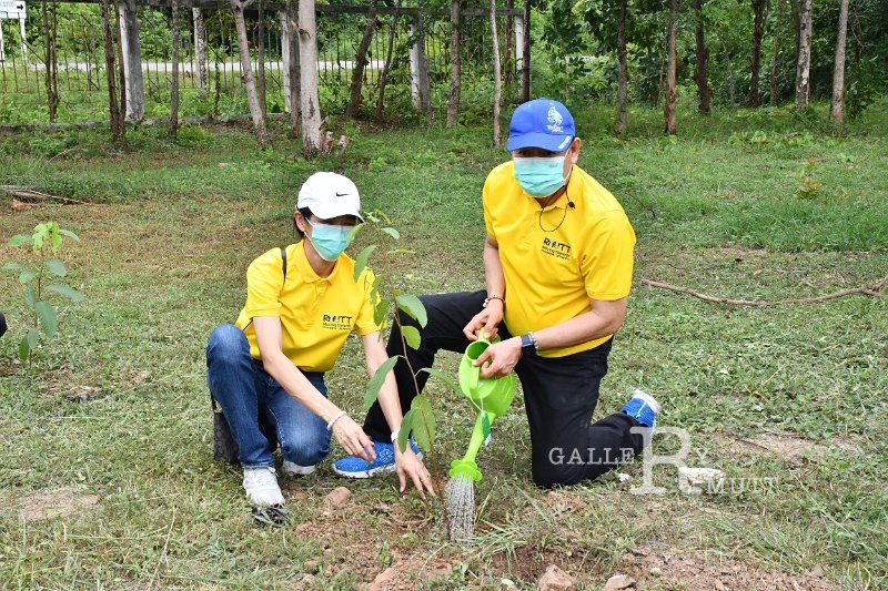 20210526-Tree planting dayt-182.JPG